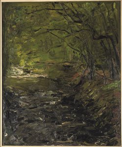 A Forest Creek