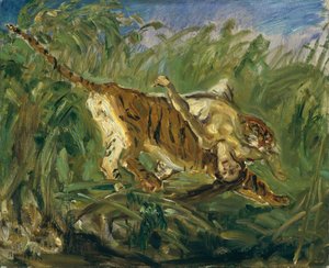 Tiger in the Jungle