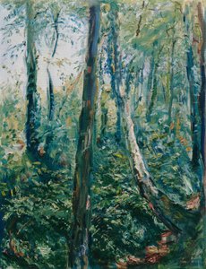 Forest Path