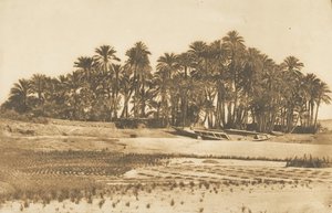 View of Elephantine Island, opposite Aswan, 1849-50 by Maxime Du Camp