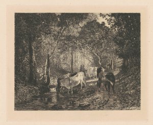 Cows in the Woods by Maxime Lalanne