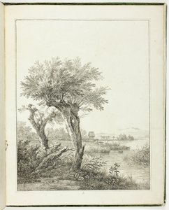 Studies of Trees for Beginning Landscape Artists