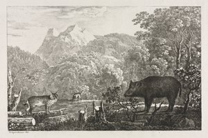 Wild Boar, Wildcat and Lynx by Maximilian Josef Wagenbauer