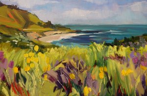 Coastal Wildflower Meadow