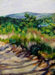 Sunlit Mountain Path