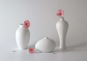 Serene Floral Vases by May G