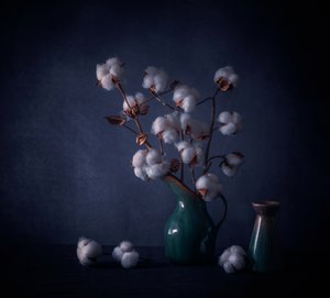 White Cotton Still Life by May G