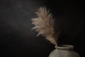 Dark Rustic Pampas by Mayra Pama
