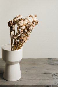 Natural Poppy Pods Vase by Mayra Pama