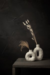 Organic Vases Dried Plants by Mayra Pama