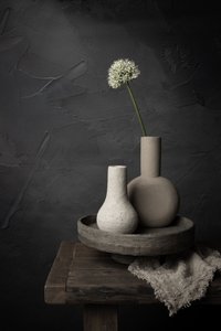 Quiet Bloom and Vases by Mayra Pama