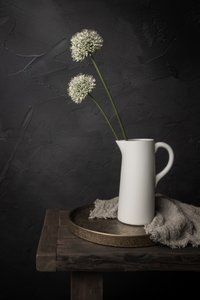 Rustic Allium Still Life by Mayra Pama