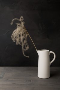 White Pitcher Pampas Grass by Mayra Pama