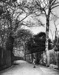 Autumn Time in Holland Walk, London