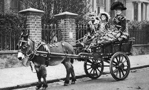 Pearly family in their donkey-drawn moke, London