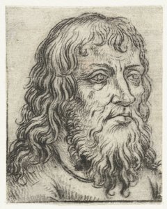 Head of an Old Man (Study Heads series)