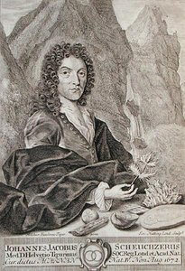 Portrait of Johann Jacob Scheuchzeri, frontispiece to 