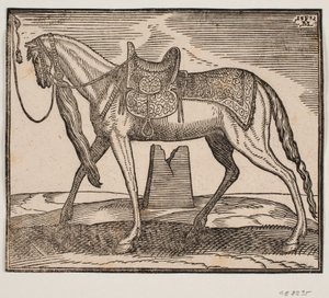 Elegant Saddled Horse, Tethered at the Left Framing Line, Profile to the Left; Under the Horse
