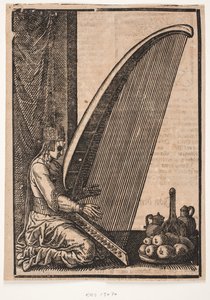 Female Harp Player