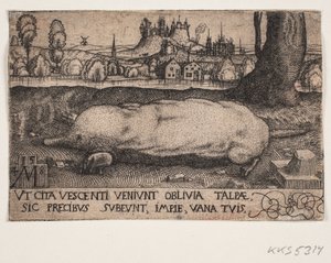 The Mole by Melchior Lorck