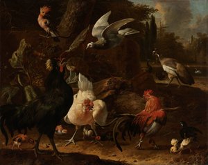 Birds in a Park