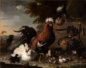 Peace in the Chicken Yard by Melchior de Hondecoeter