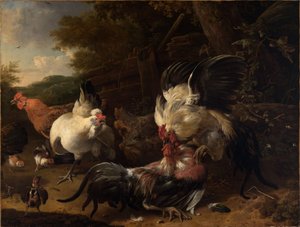 Fighting Roosters by Melchior de Hondecoeter