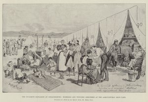 The Dynamite Explosion at Johannesburg, Homeless and Wounded sheltered at the Agricultural Show-Yard by Melton Prior