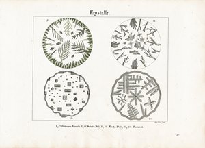 Crystal Forms of Various Salts by Meno Haas