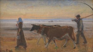Cows Being Driven across the Moor