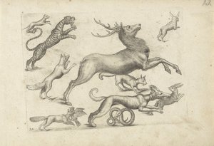 Study Sheet with Drawing Examples: Various Animals by Michael Snijders (attributed to)