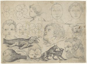 Study Sheet with Drawing Examples: Figures, Animals by Michael Snijders