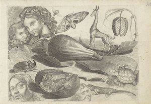 Study Sheet with Drawing Examples: Heads, Animals, and Fruits from Drawing Examples by Michael Snijders