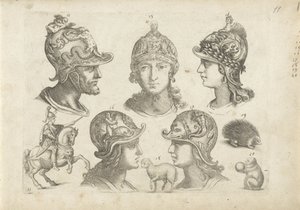 Study Sheet with Drawing Examples: Heads and Animals by Michael Snijders