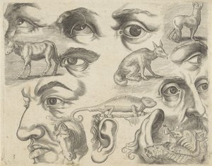 Study Sheet with Drawing Examples: Eyes, Heads, and Animals (Series Title: Drawing Examples) by Michael Snijders
