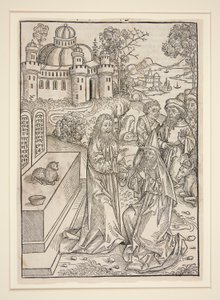 Page from Stephan Fridolin, Der Schatzbehalter by Michael Wolgemut