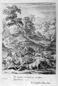 Actaeon Turned into a Stag and Devoured by His Hounds