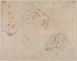 Copy from the Last Judgment