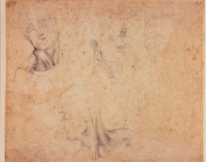 Four male head studies