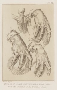 Studies of Hands and the Back of a Male Figure