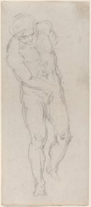 Male Nude by Michelangelo