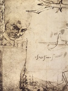 Face by Michelangelo Buonarroti