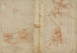 Figure studies for the Sistine Ceiling