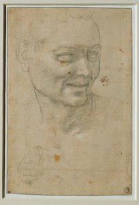 Head and Right Hand of the Ignudo Above and to the Left of Isaiah by Michelangelo Buonarroti