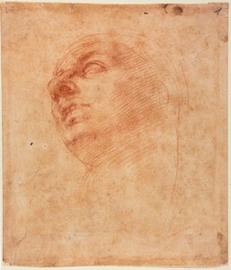 Head Study for the Sistine Jonah by Michelangelo Buonarroti