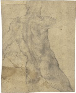 Male nude
