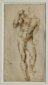 Male Nude, Front View, circa 1502-1506 by Michelangelo Buonarroti