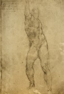 Nude Study