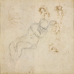 Eight Figure Studies by Michelangelo Buonarroti