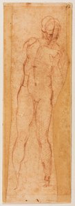 Study for a Manly Figure by Michelangelo Buonarroti